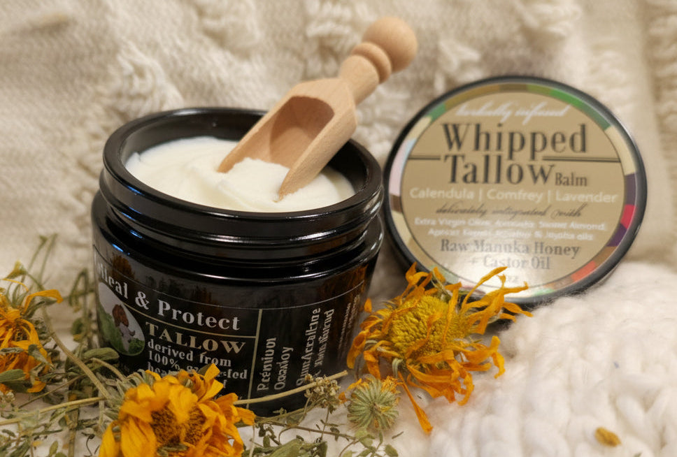 Whipped Tallow ~ Heal and Protect (with Manuka Honey & Castor Oil) 2oz