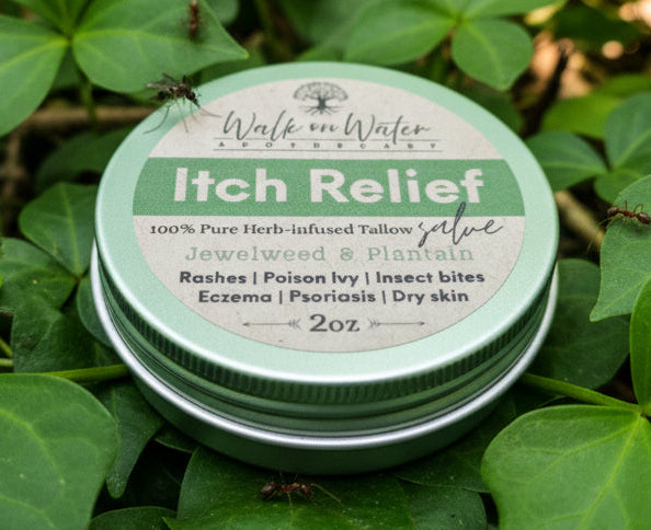 Itch Relief ~ 100% Pure Herb-infused Tallow Salve 2oz